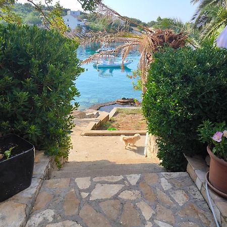 Apartments Anica Beber Borovići Εξωτερικό φωτογραφία