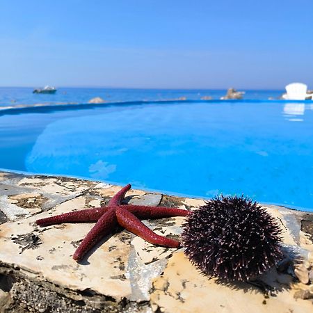 Apartments Anica Beber Borovići Εξωτερικό φωτογραφία