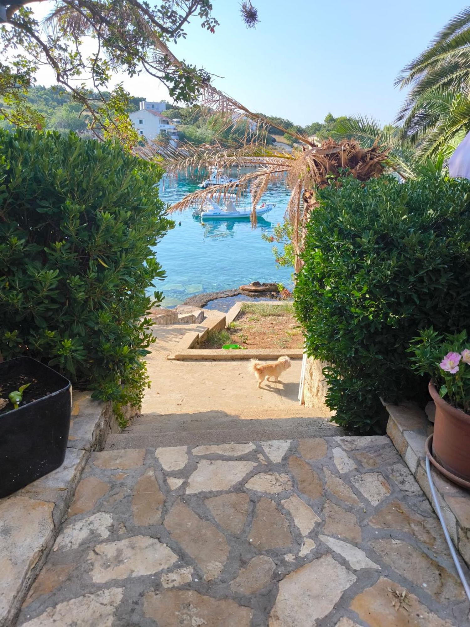 Apartments Anica Beber Borovići Εξωτερικό φωτογραφία
