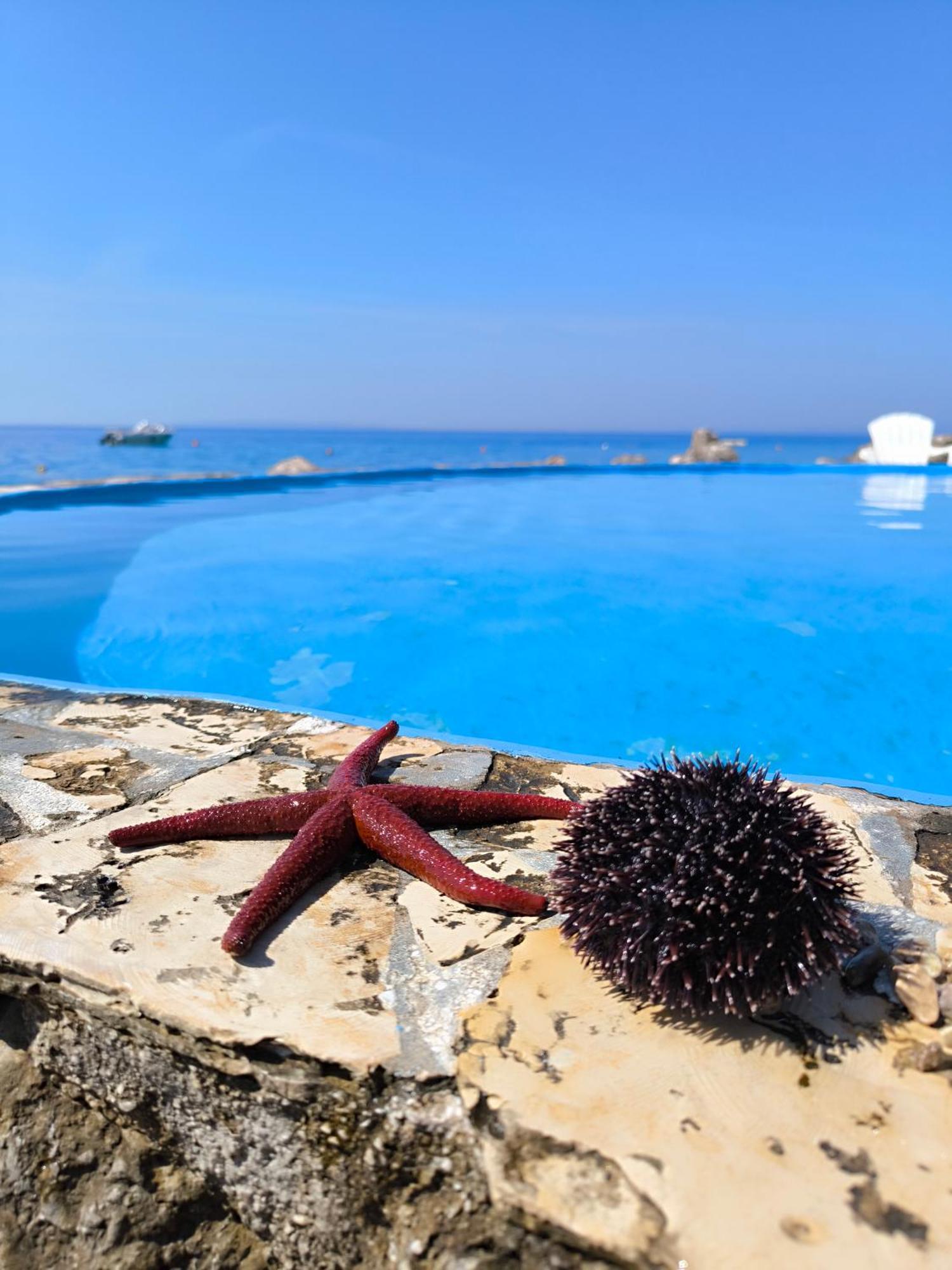 Apartments Anica Beber Borovići Εξωτερικό φωτογραφία