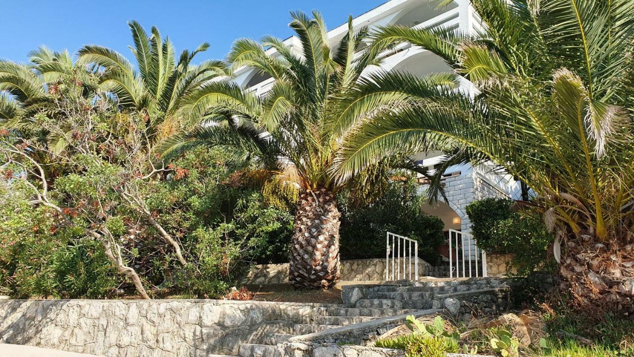 Apartments Anica Beber Borovići Εξωτερικό φωτογραφία