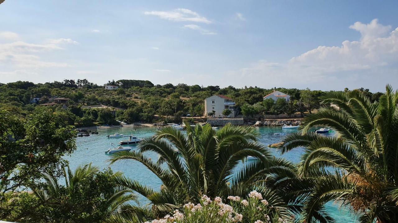 Apartments Anica Beber Borovići Εξωτερικό φωτογραφία