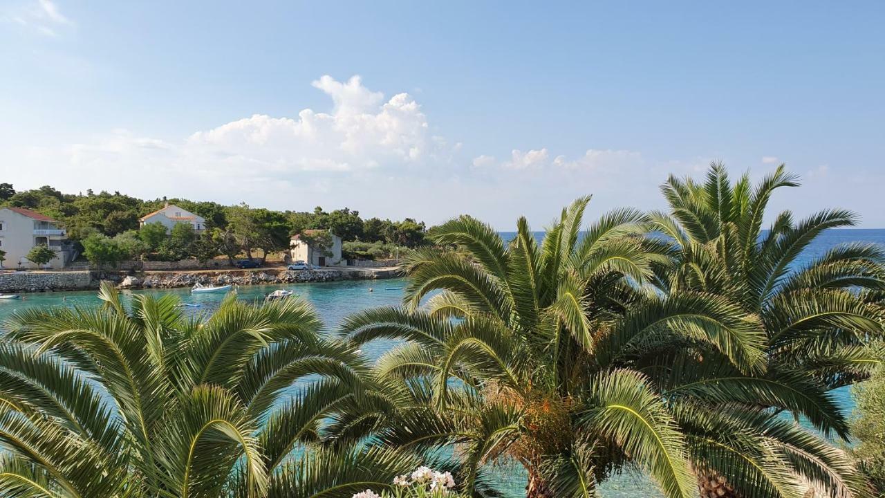 Apartments Anica Beber Borovići Εξωτερικό φωτογραφία