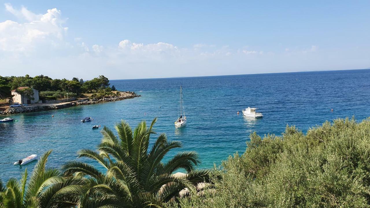 Apartments Anica Beber Borovići Εξωτερικό φωτογραφία