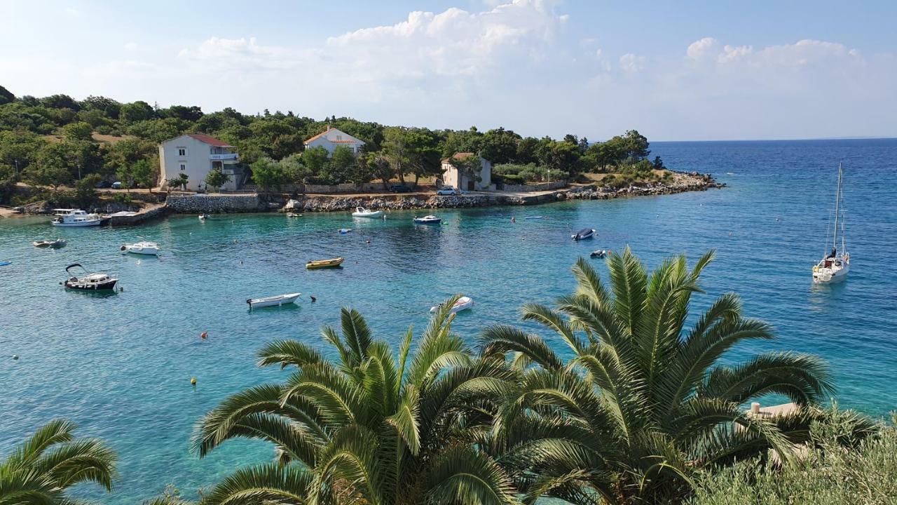 Apartments Anica Beber Borovići Εξωτερικό φωτογραφία